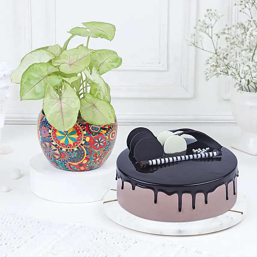 Chocolate Ecstasy