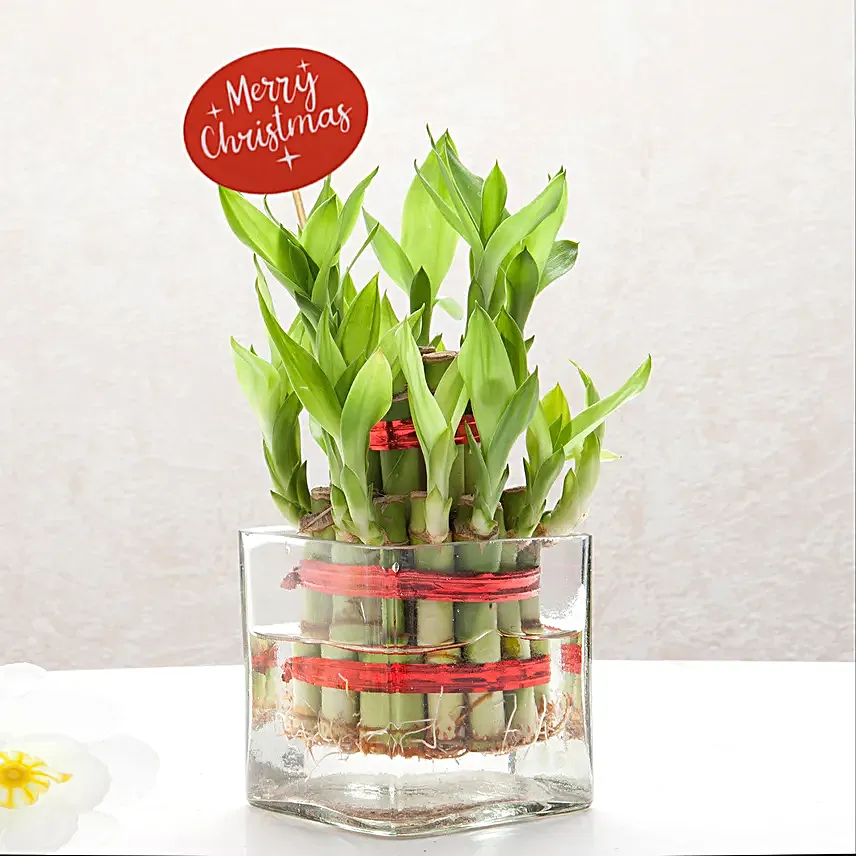 Christmas Harmony Bamboo Duo