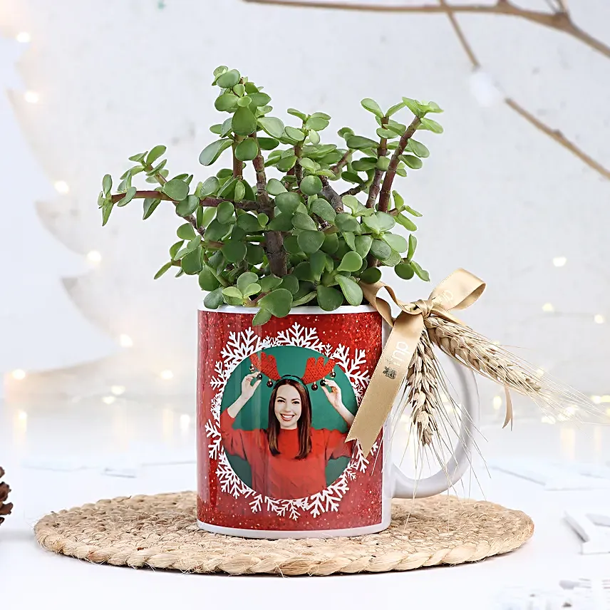 Christmas Jade Delight