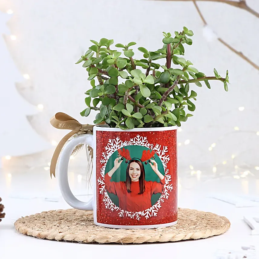 Christmas Jade Delight