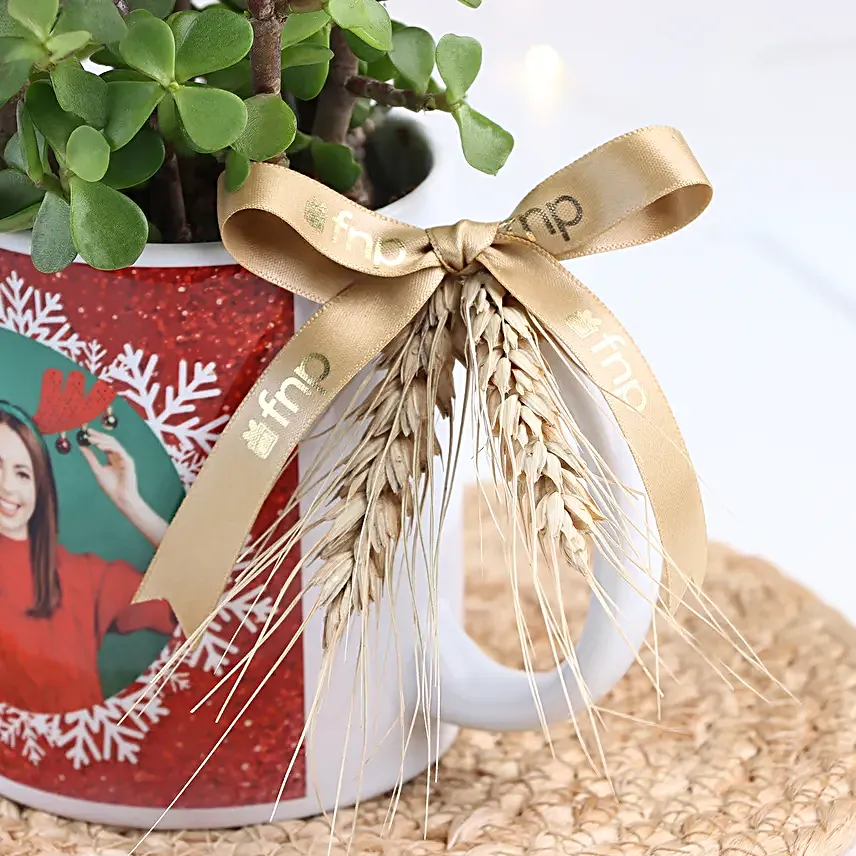 Christmas Jade Delight