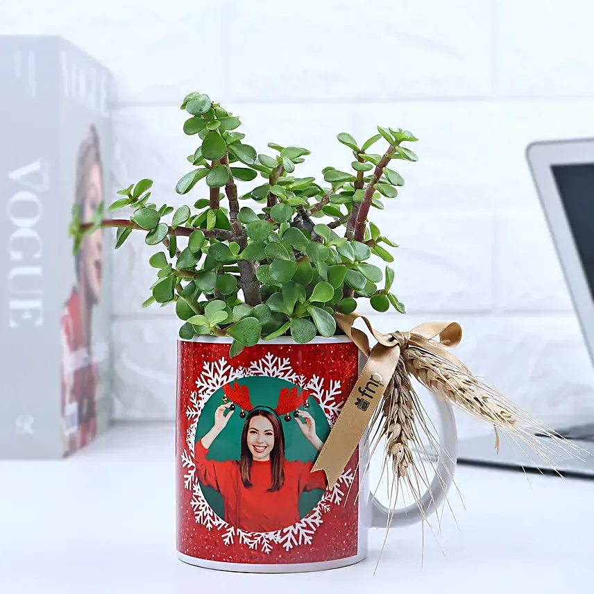 Christmas Jade Delight