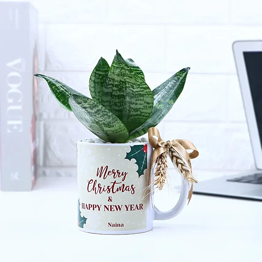 Christmas Sansevieria Snake Plant