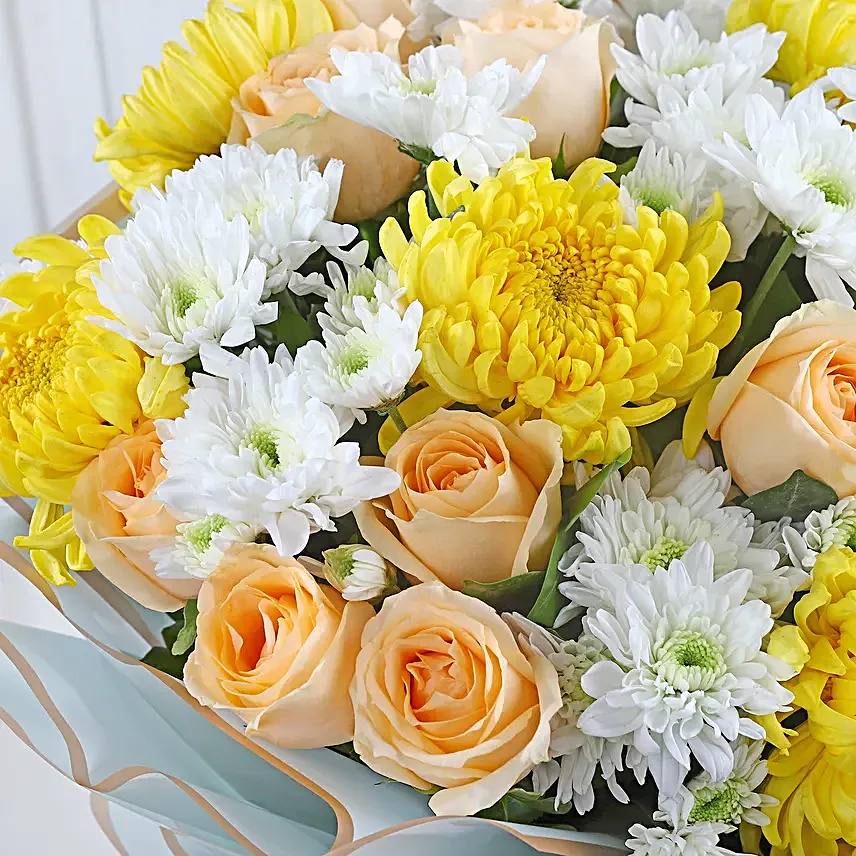 Chrysanthemum Meadow Harmony