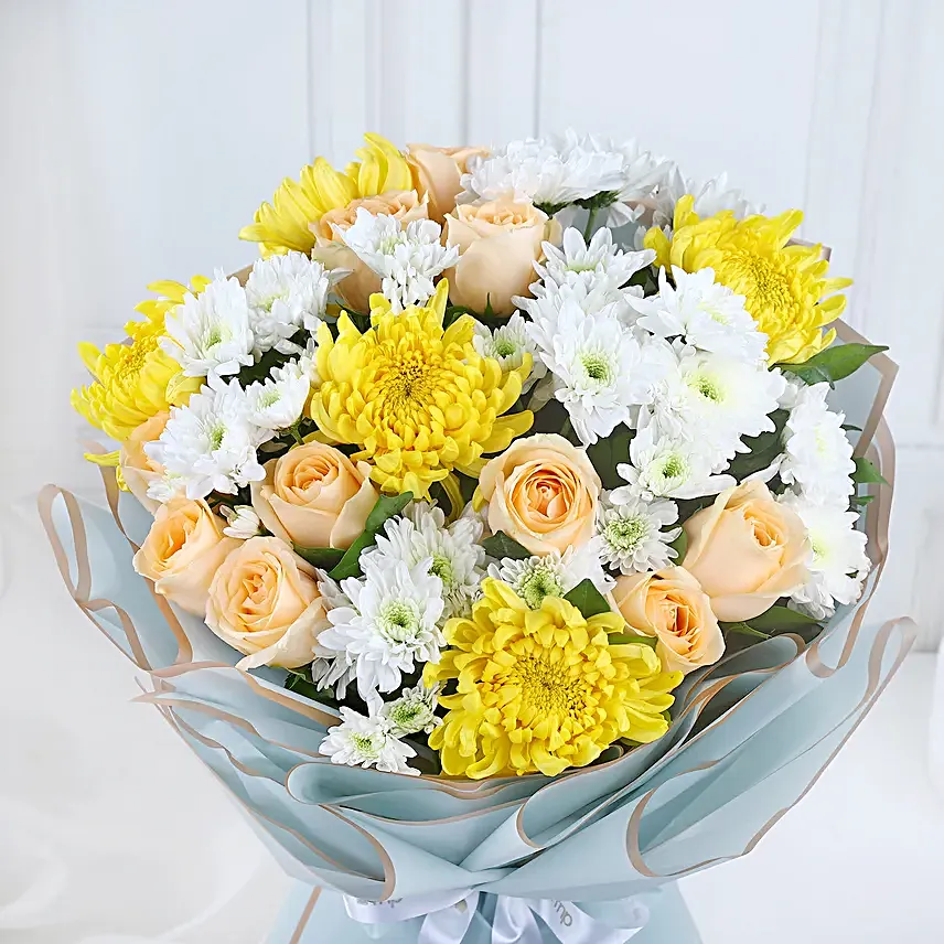 Chrysanthemum Meadow Harmony
