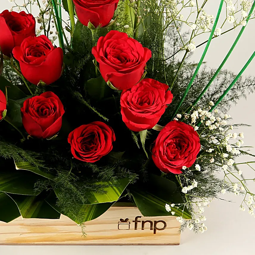 Classic Aura Red Roses Arrangement