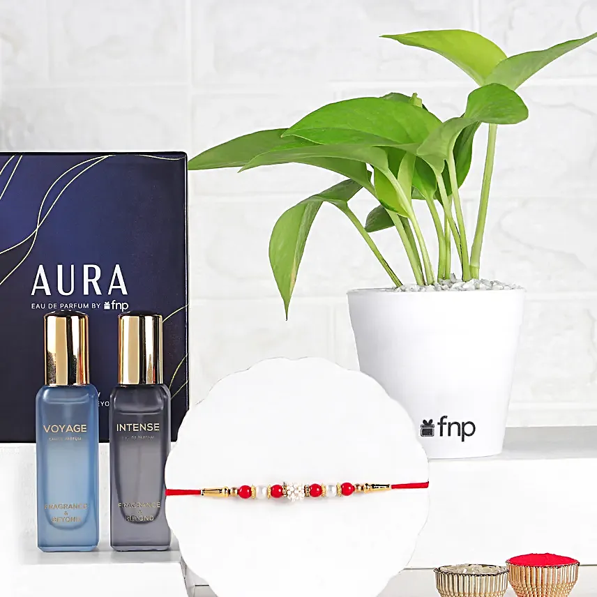 Classic Pearl Rakhi  Money Plant Combo