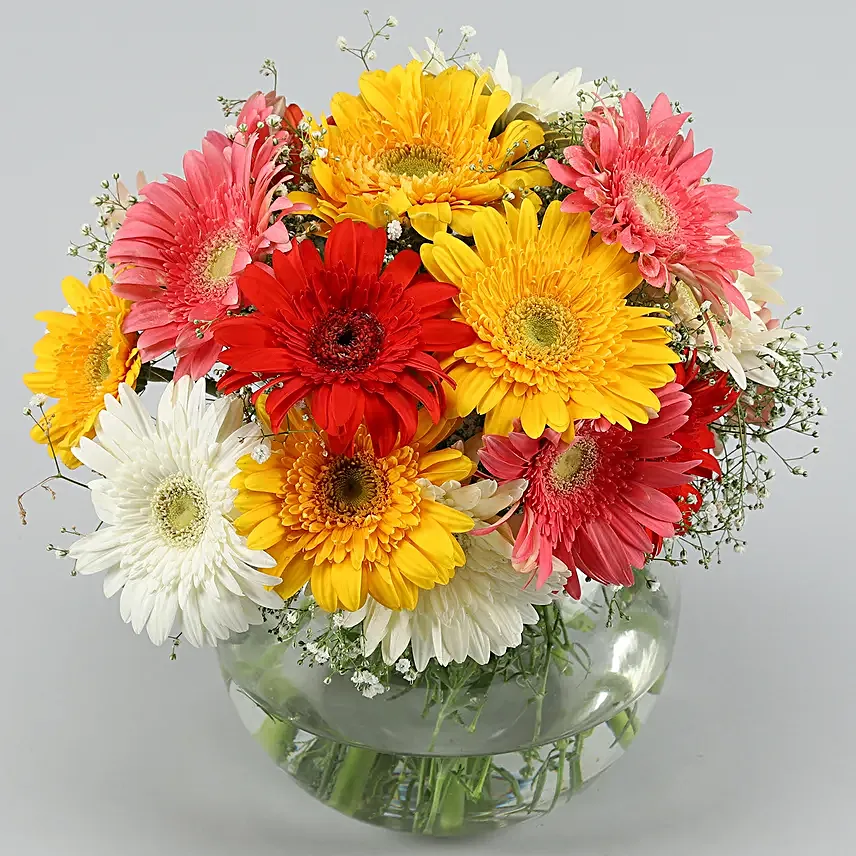 Classy Mix Of Gerbera Blossoms