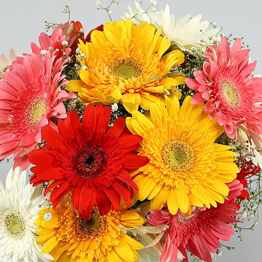 Classy Mix Of Gerbera Blossoms