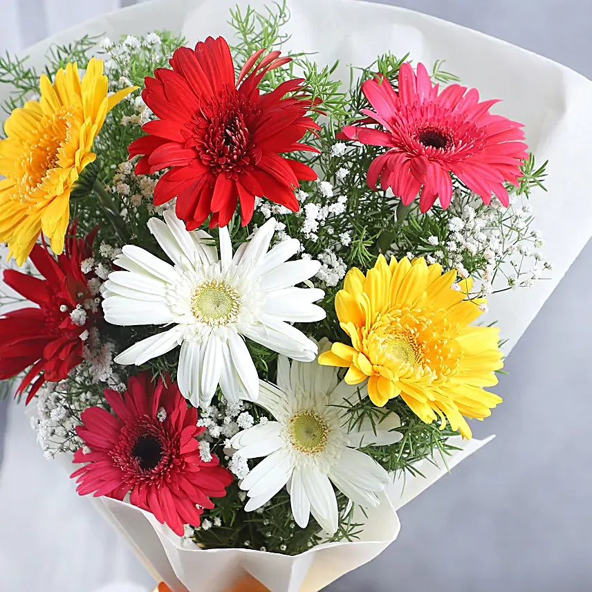 Colourful Gerberas N Butterscotch Cake Combo