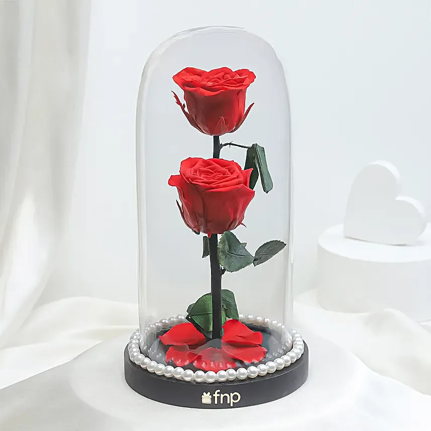 Crimson Love Red Forever Rose
