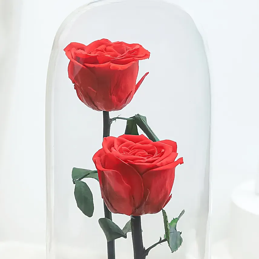 Crimson Love Red Forever Rose