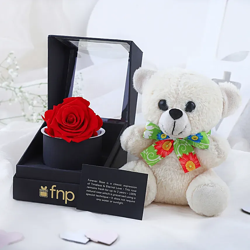 Cute Cuddles Valentines Combo