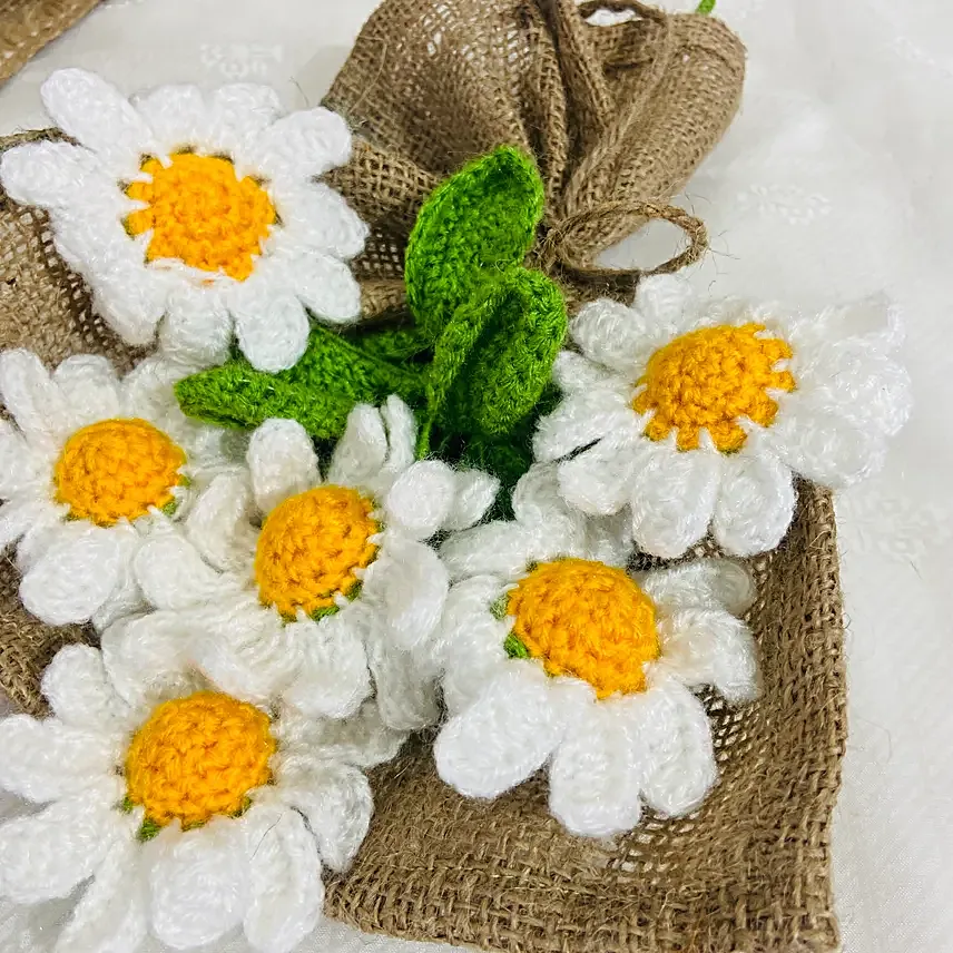 Daisy Dreams Crochet Bouquet