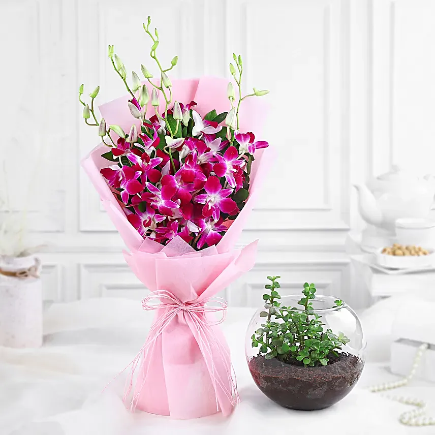 Delightful Daisies N Jade Plant Gift Combo
