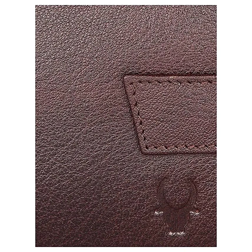 Designer Wallet N Belt Gift Set