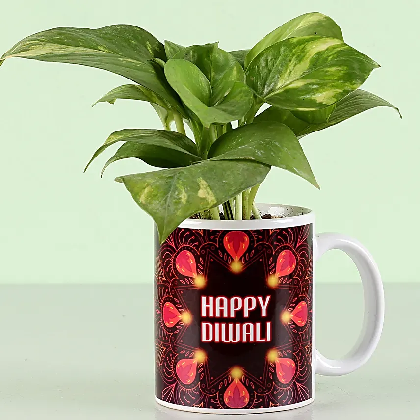 best plant with printed coffee mug for diwali