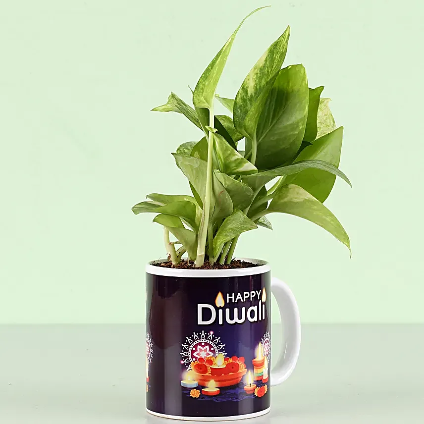 online printed mug with plant for him on diwali