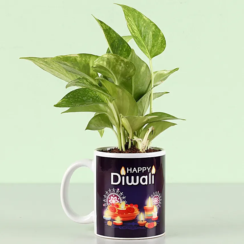 online printed mug with plant for him on diwali