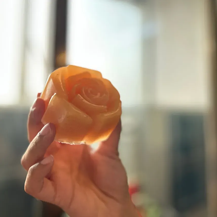 DIY Pretty Rose Soap Kit
