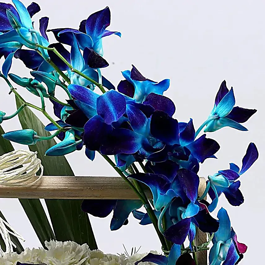 Dreamy Birthday Blooms