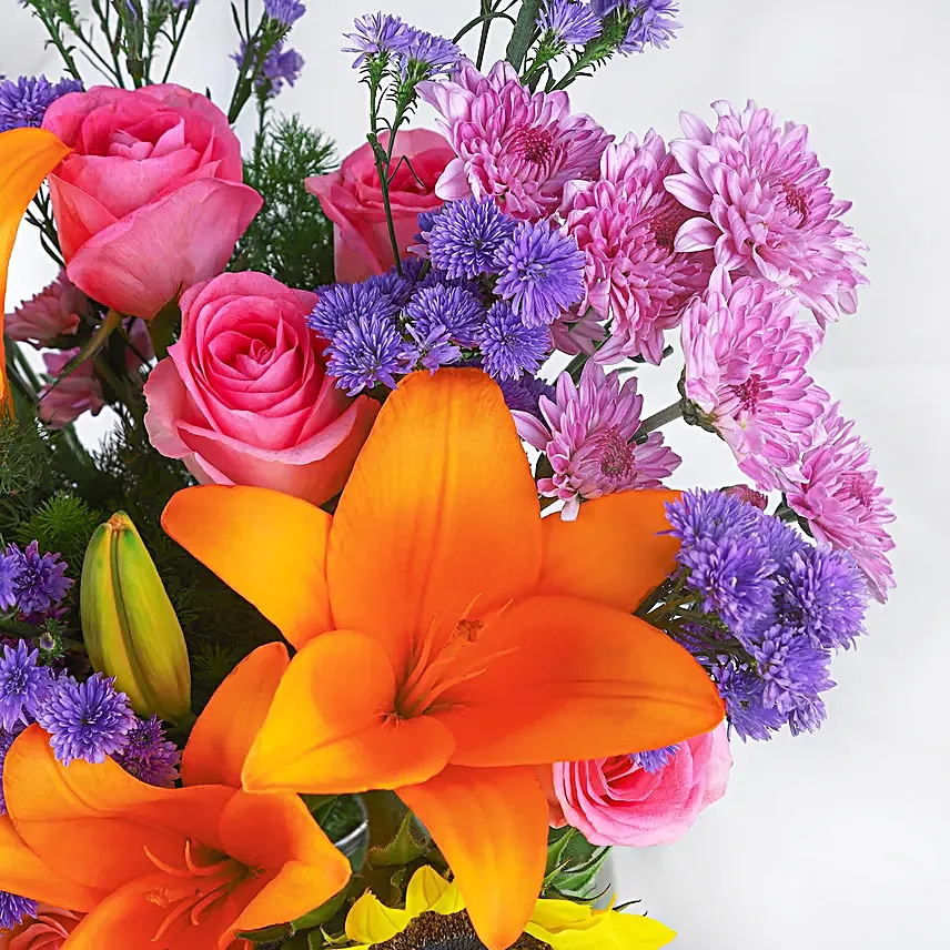 Dreamy Blooms