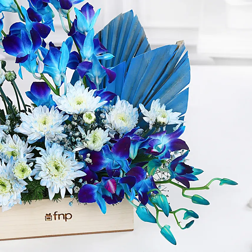 Dreamy Desire Orchids N Daisies Arrangement