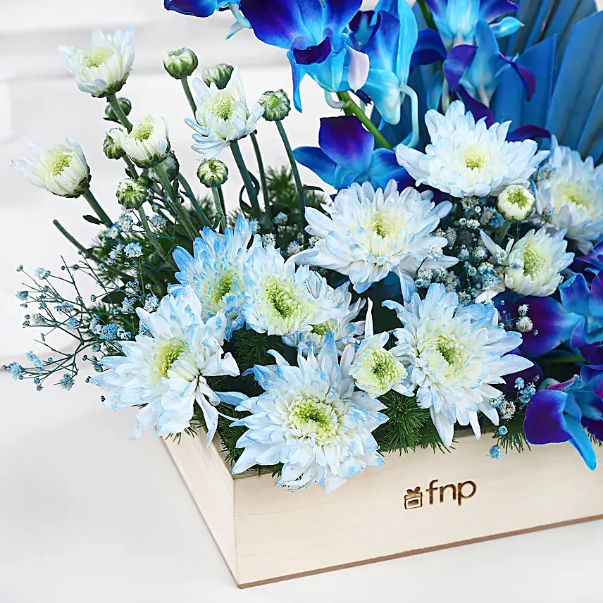 Dreamy Desire Orchids N Daisies Arrangement