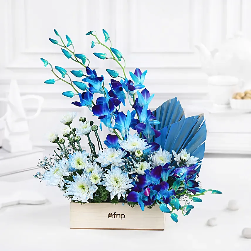 Dreamy Desire Orchids N Daisies Arrangement