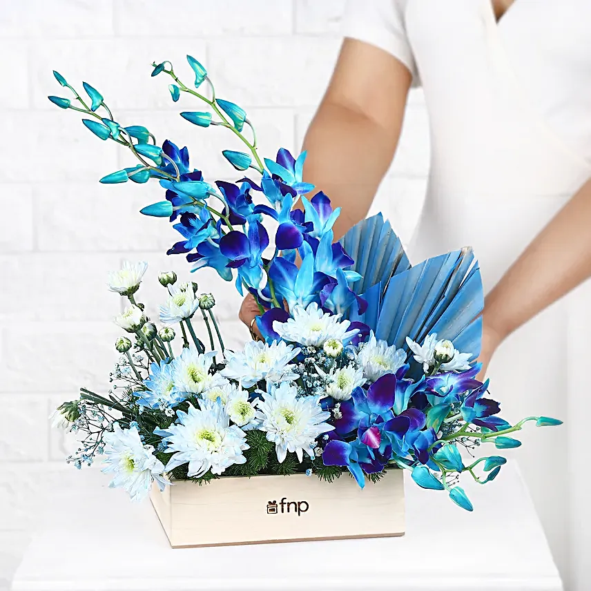 Dreamy Desire Orchids N Daisies Arrangement