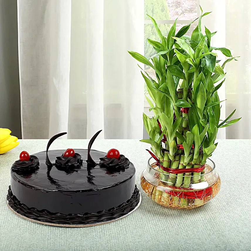 Eggless Truffle Cake and Three Layer Bamboo