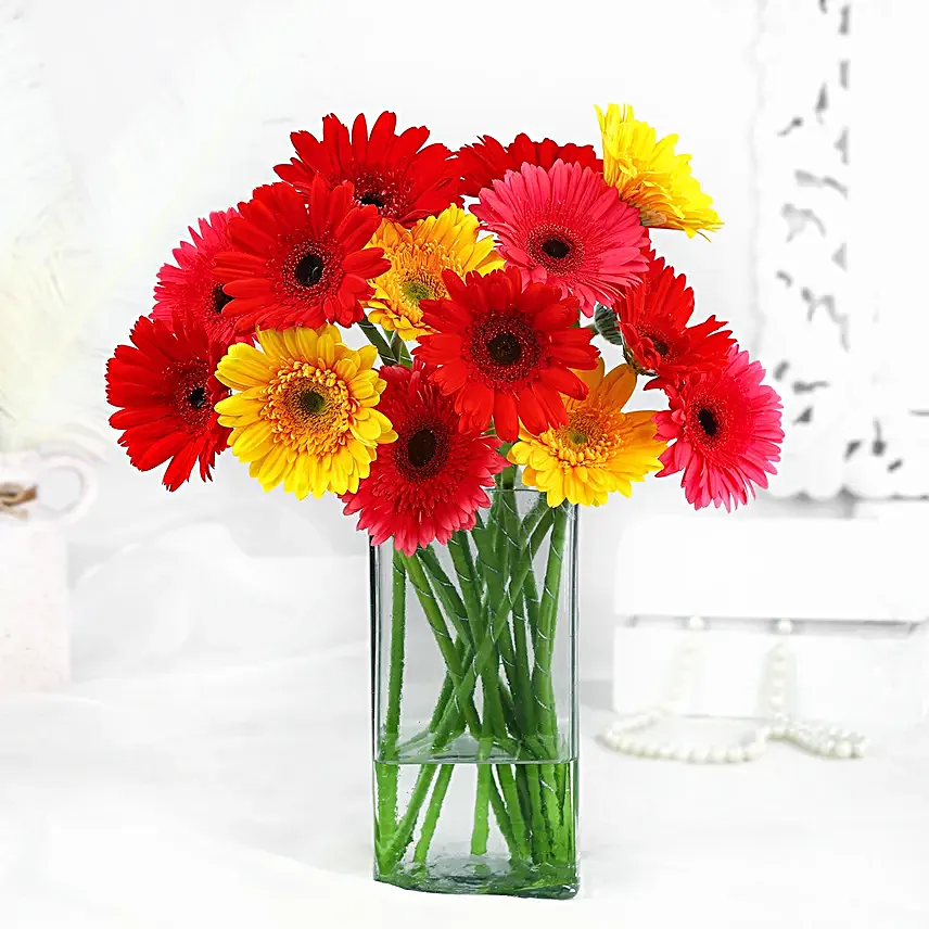 Elegant Gerberas In Glass Vase