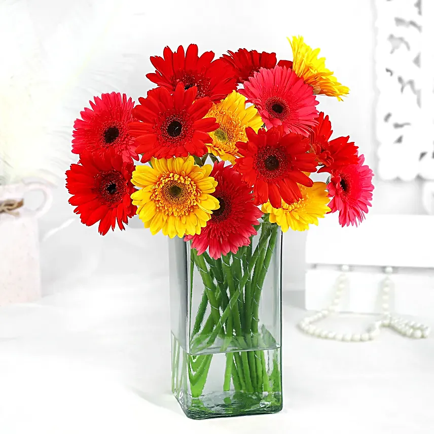 Elegant Gerberas In Glass Vase