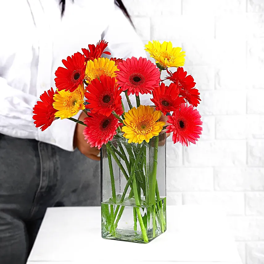 Elegant Gerberas In Glass Vase