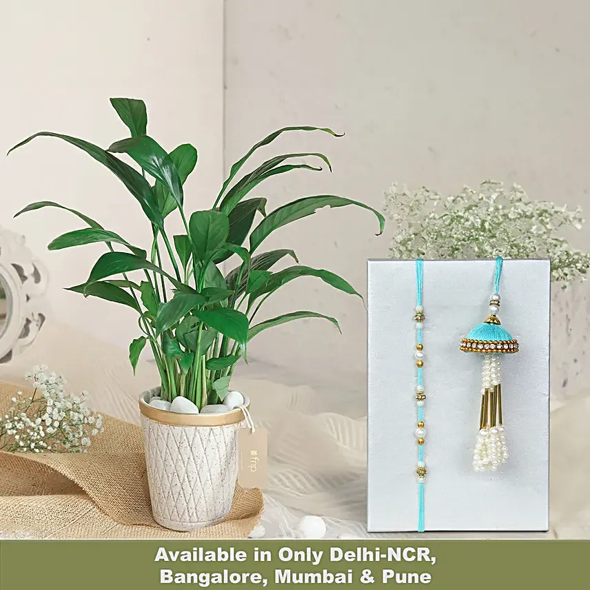 Elegant Pearl Rakhi N Peace Lily Set