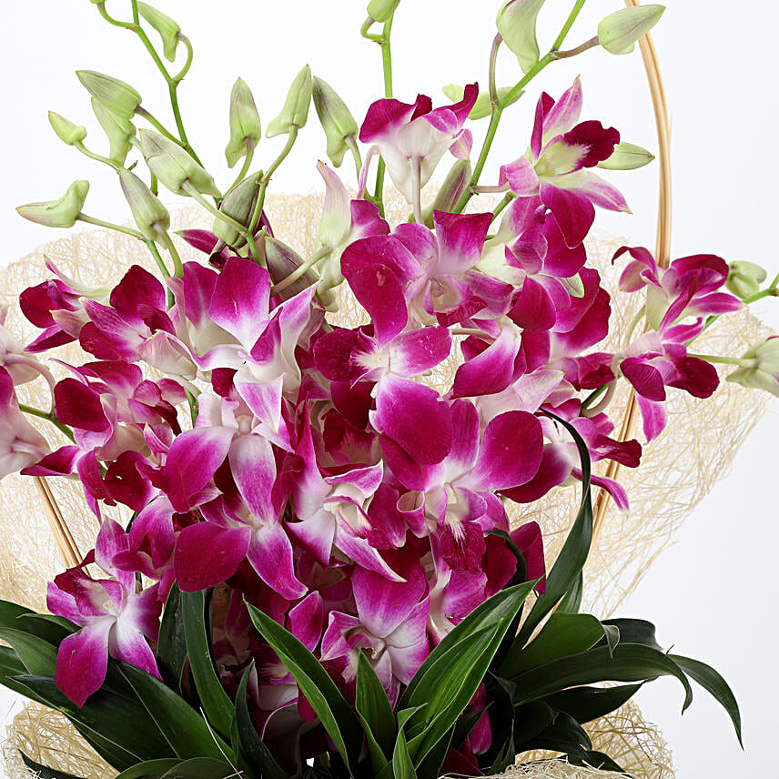 Simply Sweet - Bunch of 6 Blue or Purple Orchids in a jute packing flowers