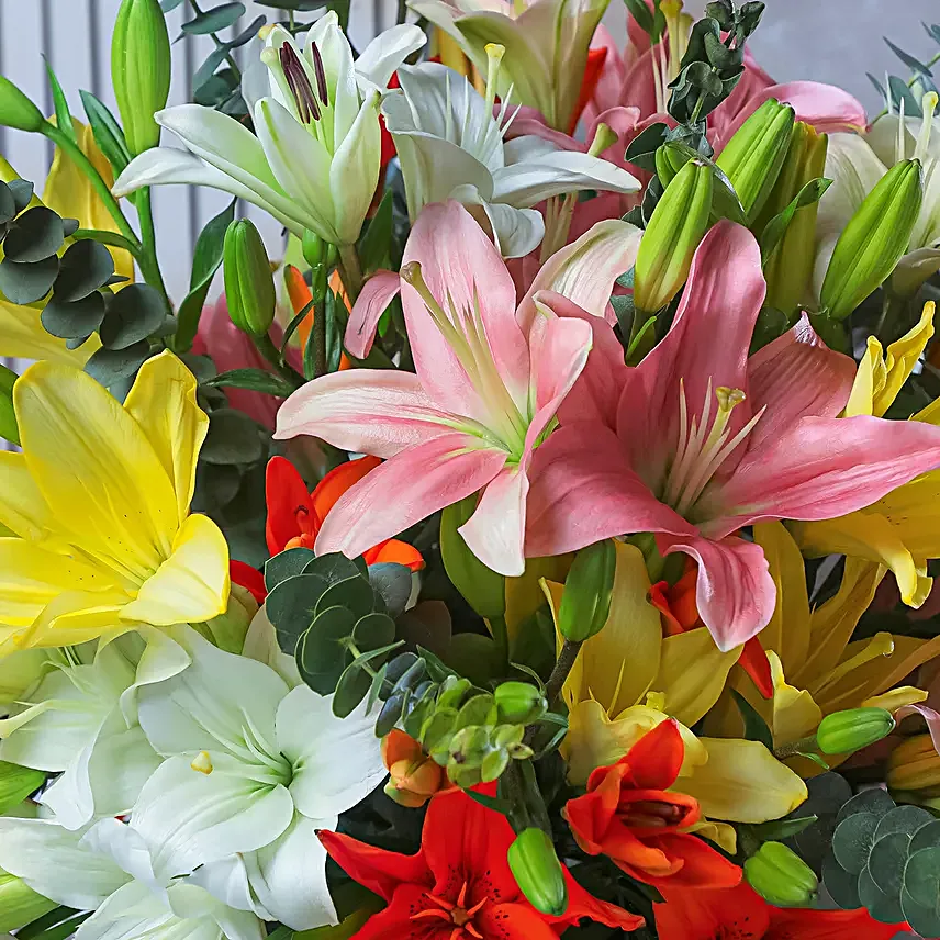 Elysian Lily Symphony