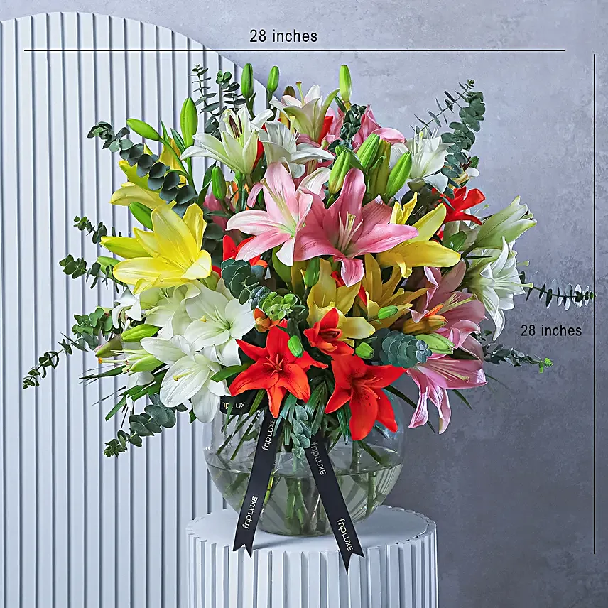 Elysian Lily Symphony