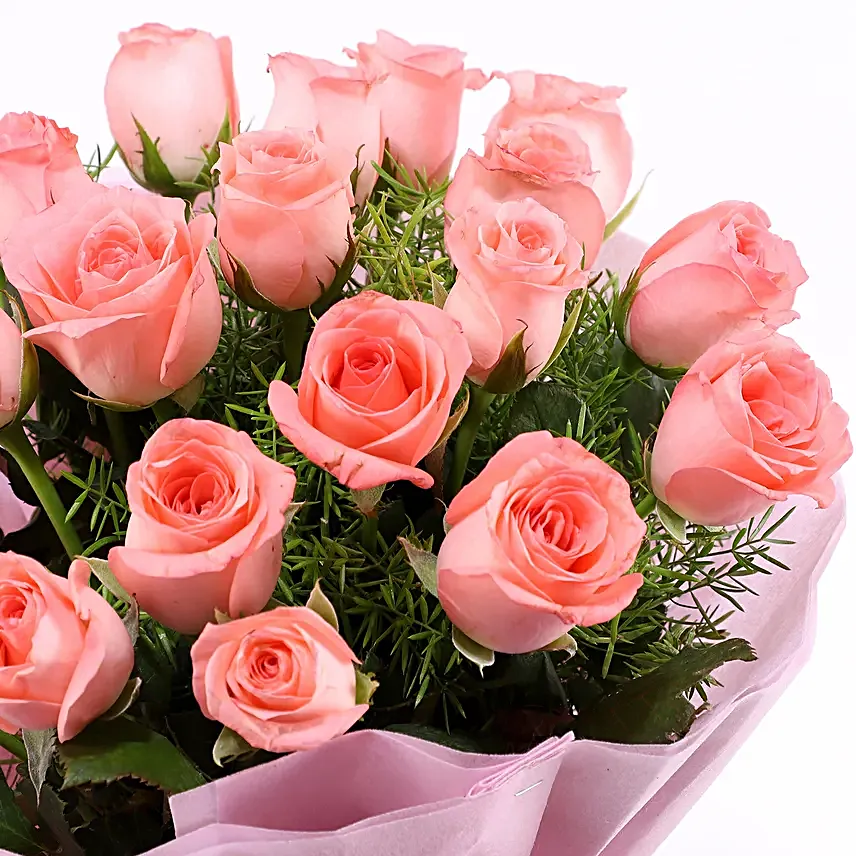 20 Endearing Pink Roses