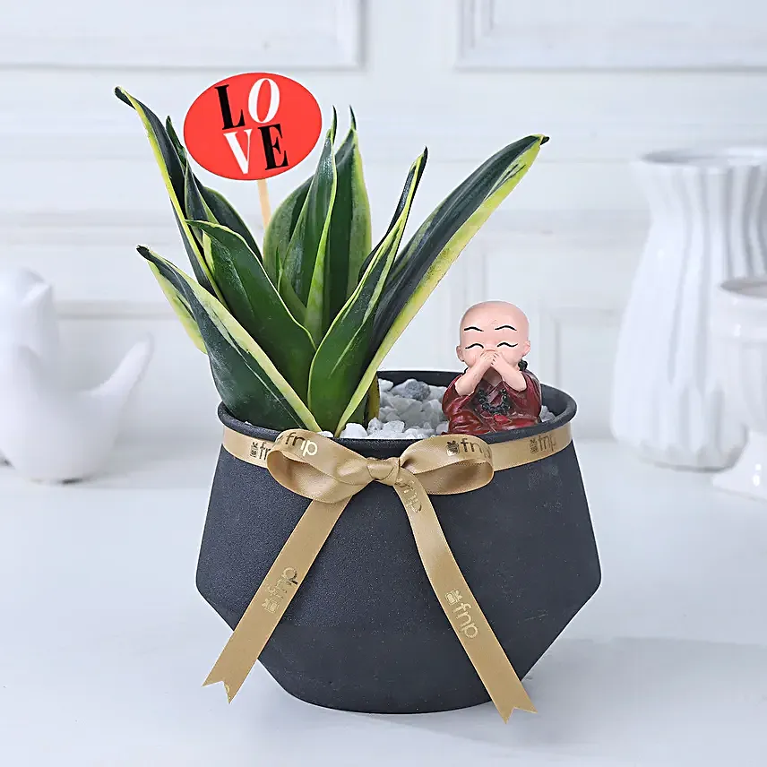 Eternal Milt Harmony Plant