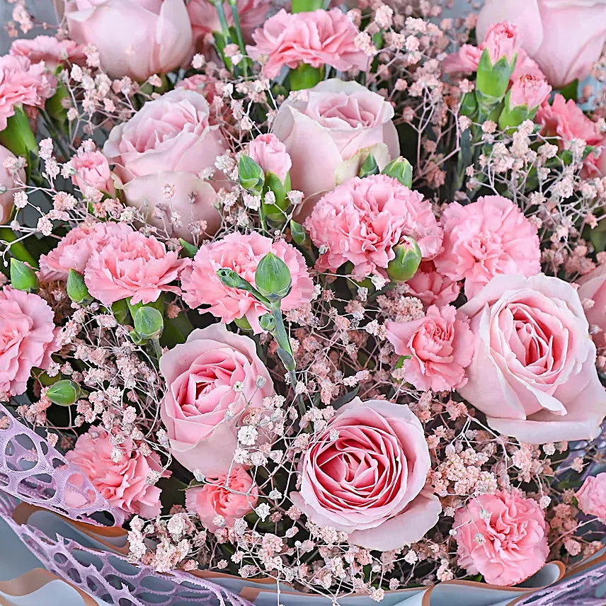 Ethereal Pink Carnation Melody
