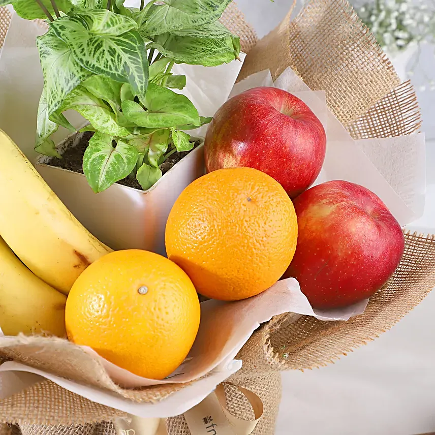 Evergreen Fruit Delights