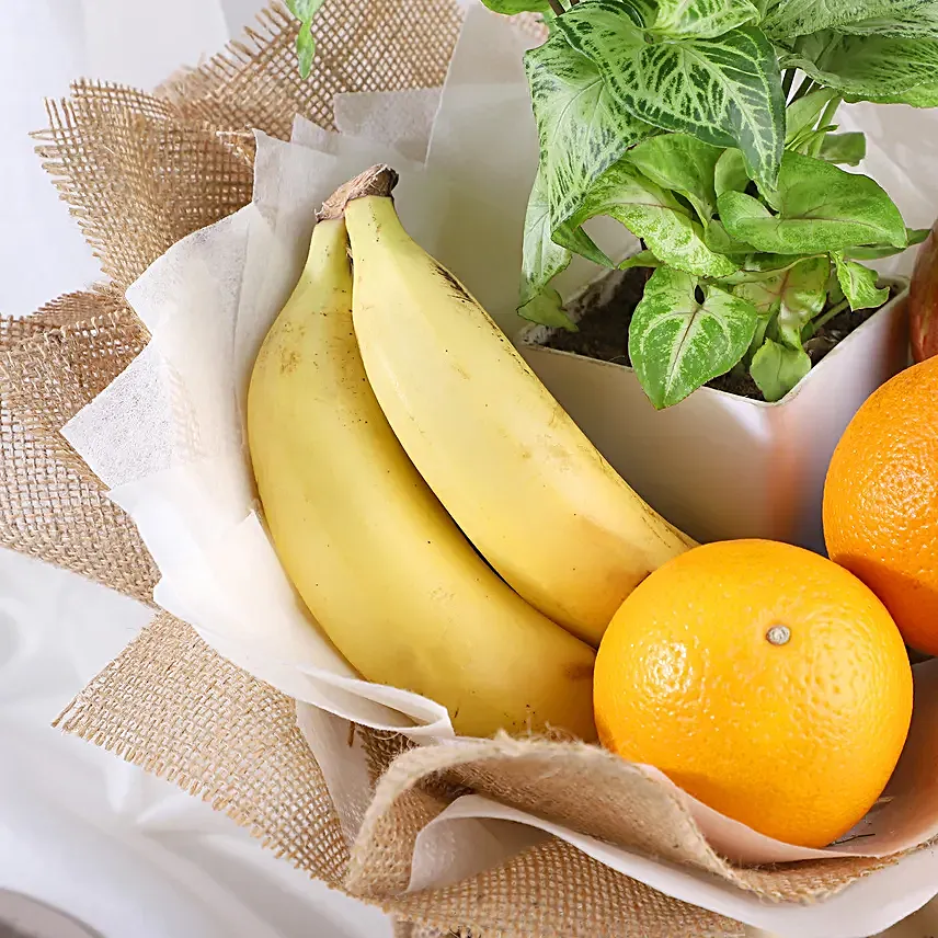 Evergreen Fruit Delights