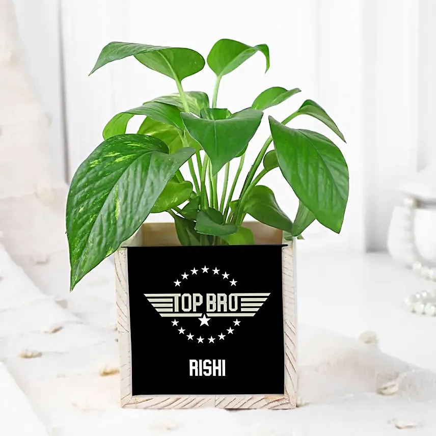 Evil Eye Rakhi N Money Plant In Top Bro Organiser