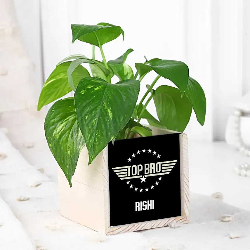 Evil Eye Rakhi N Money Plant In Top Bro Organiser