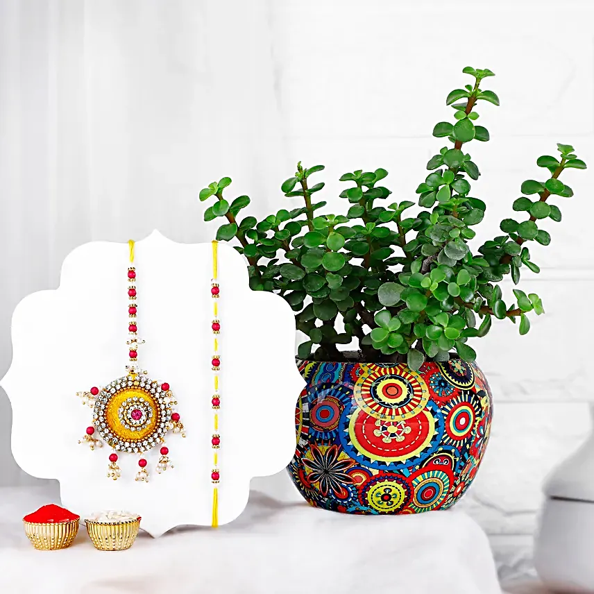 Evil Eye Shield Rakhi N Jade Plant Pot Combo