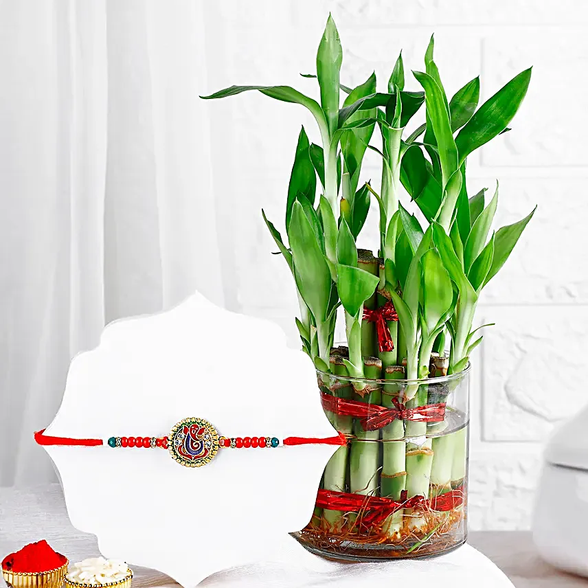 Evil Eye Shield Rakhi N Jade Plant Wishes Combo