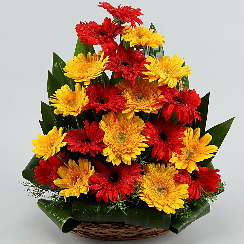 Exhilarating Floral Beauty