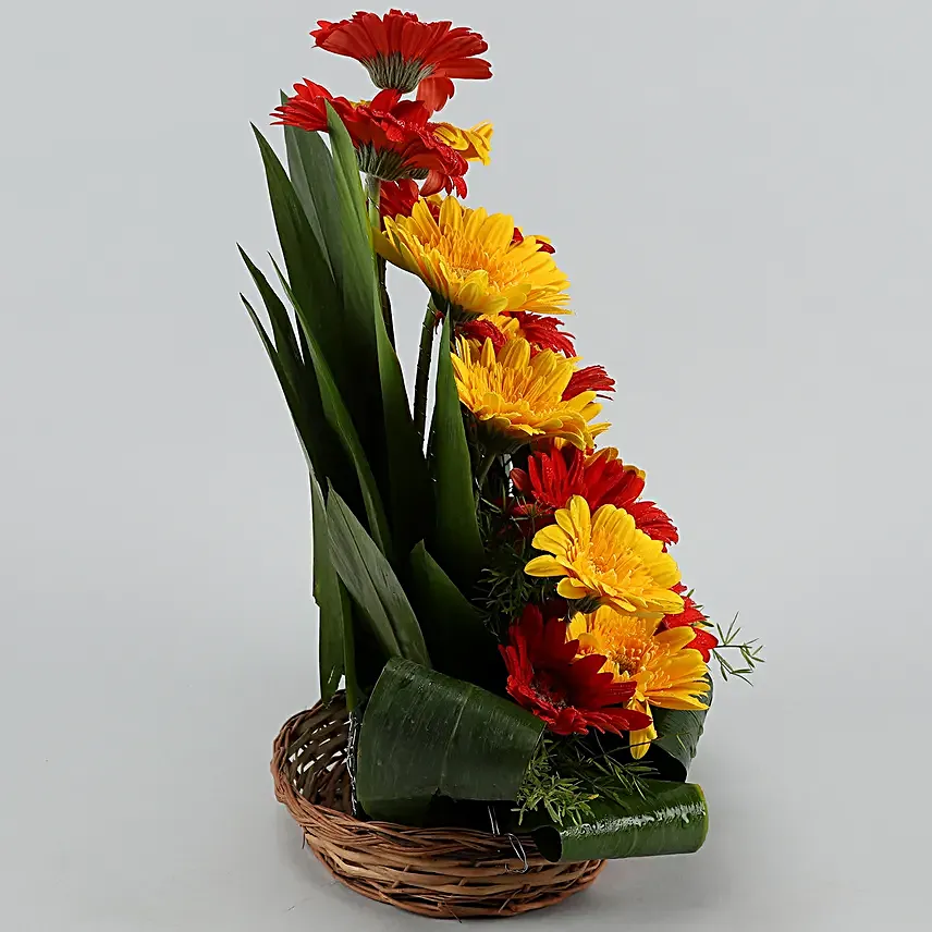 Exhilarating Floral Beauty