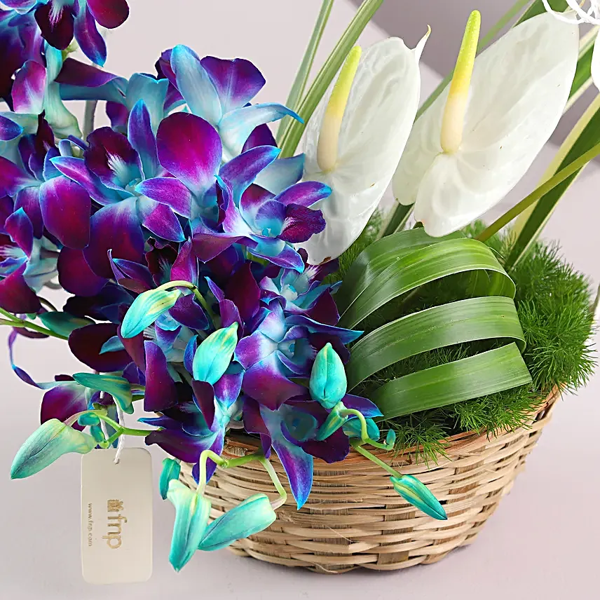Exotic Orchids N Anthuriums Basket
